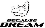 BECAUSE DREAM